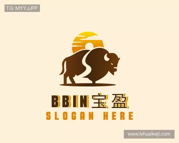解读bbin宝盈